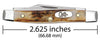 Case Genuine Stag Small Pen